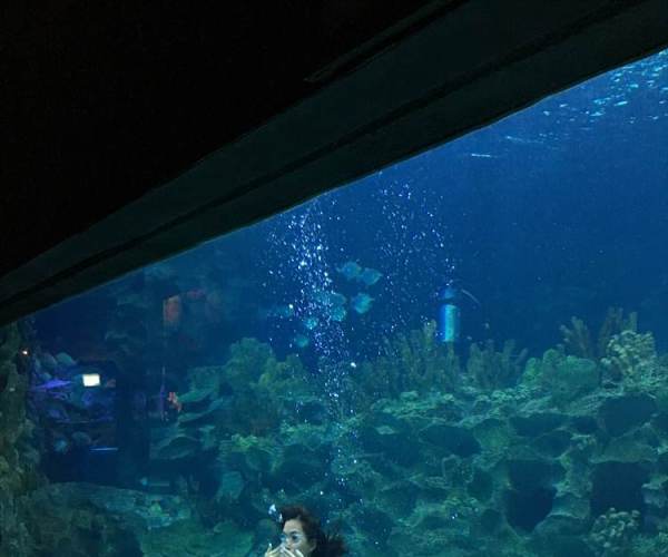 Aquaria