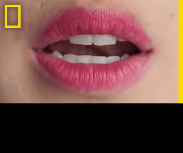 Lips