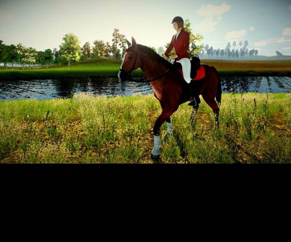 My Little Riding Champion