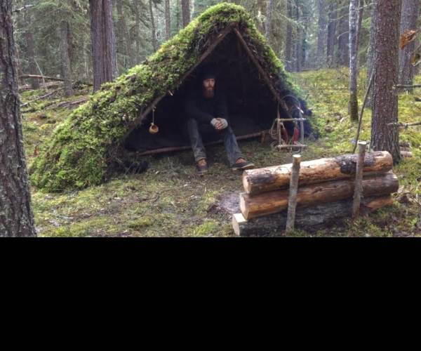 Shelter