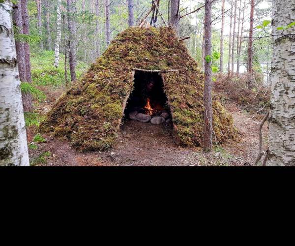 Shelter