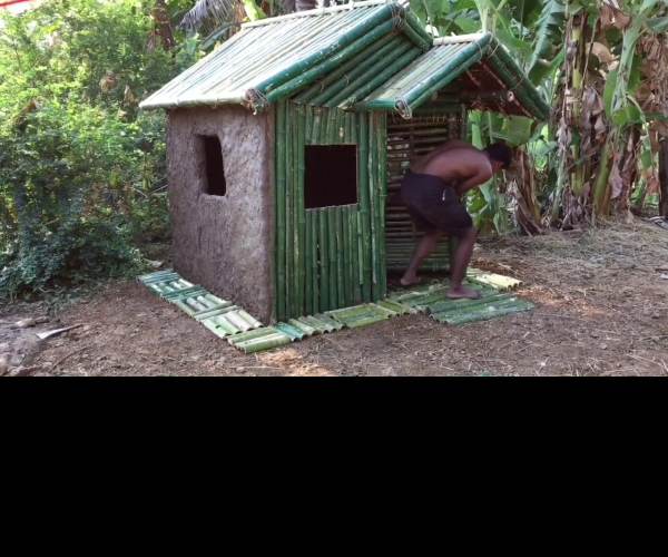 Shelter