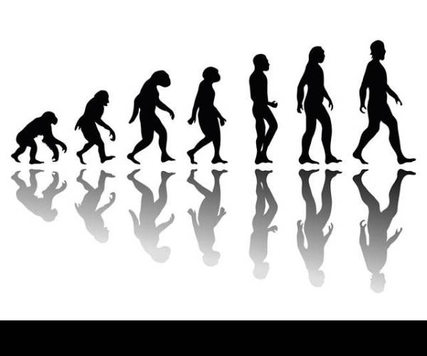 Evolution