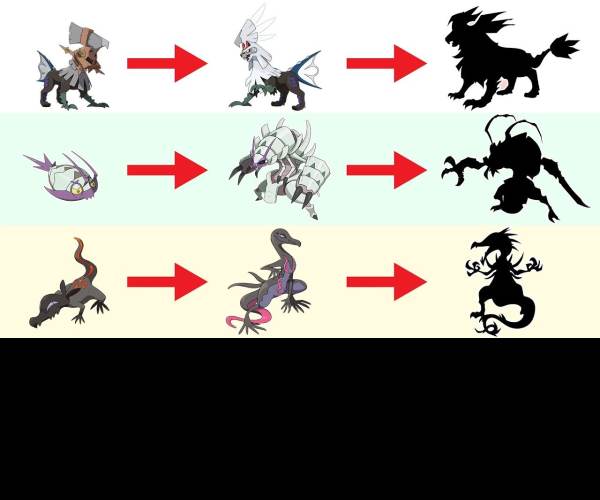 Evolution