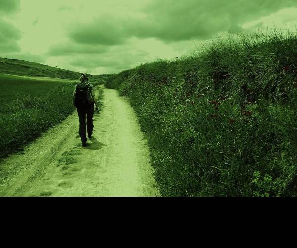 Journey Of Life