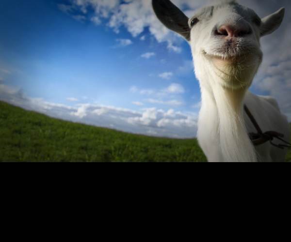 Goat Simulator