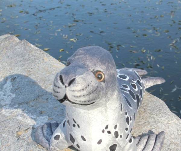 Sea Dogs