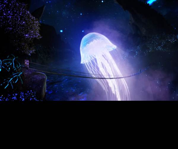 N.E.R.O.: Nothing Ever Remains Obscure