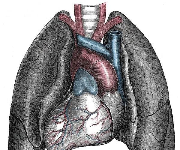 INVERSUS