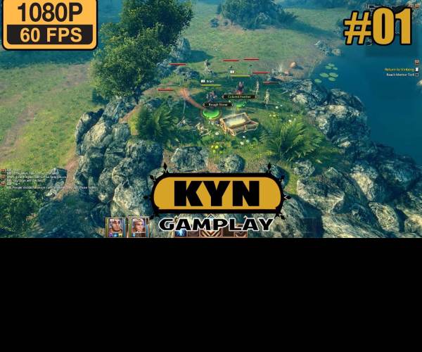 Kyn