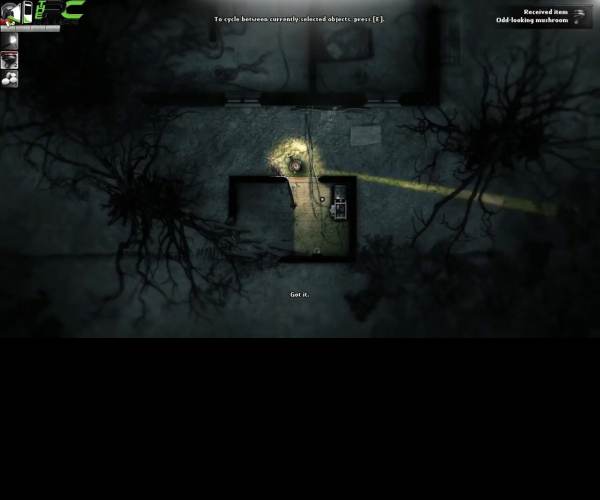 Darkwood