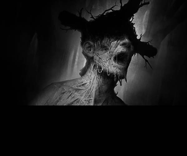 Darkwood
