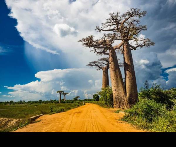 Madagascar