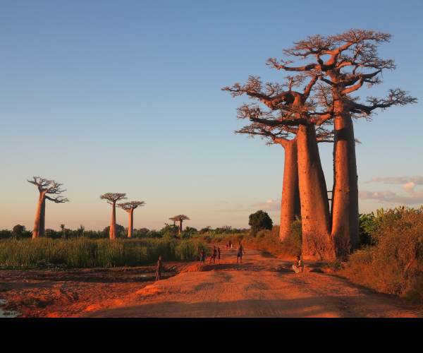 Madagascar