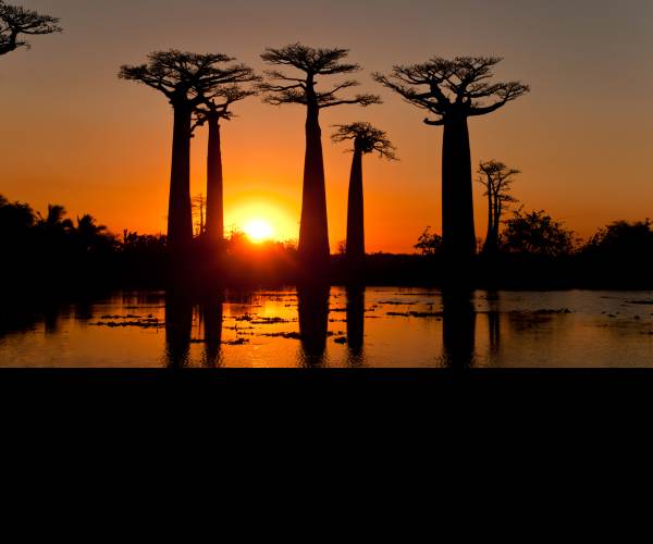 Madagascar