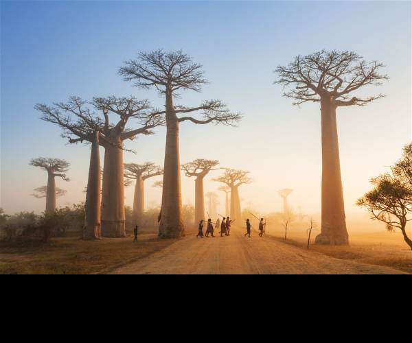 Madagascar
