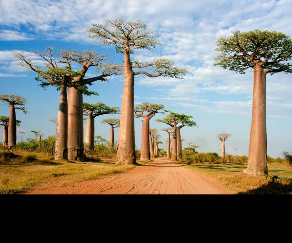 Madagascar