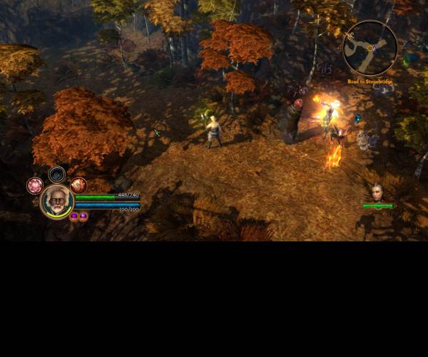 Dungeon Siege 3 (X360)