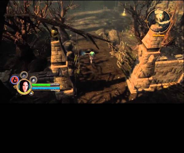 Dungeon Siege 3 (X360)