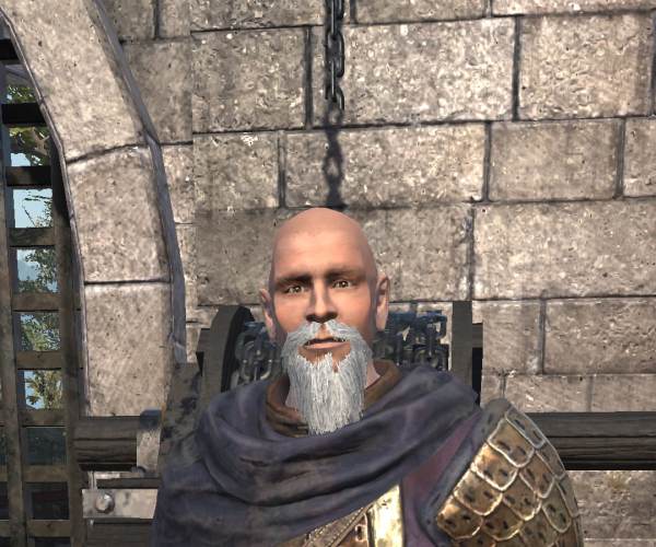 The Elder Scrolls: Blades