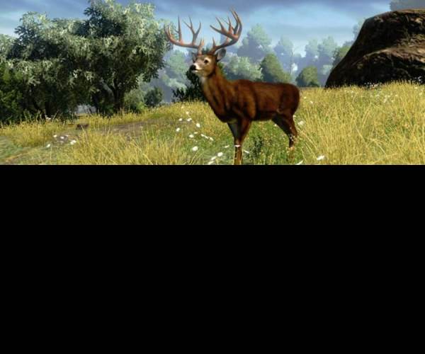 Cabelas Outdoor Adventures 2010