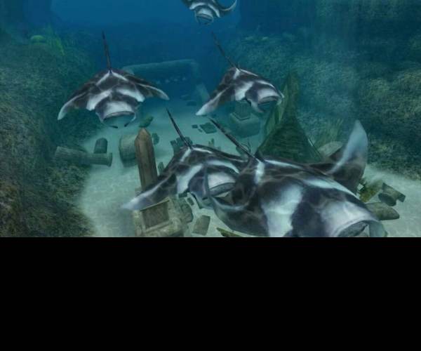 Endless Ocean 2: Adventures of the Deep