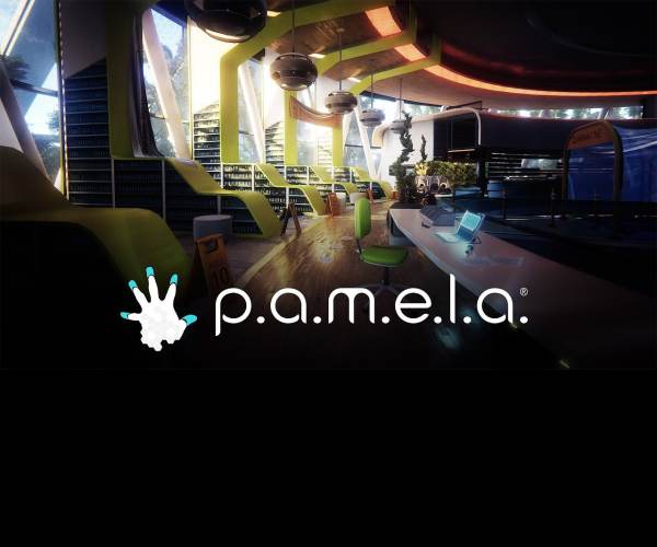 P.A.M.E.L.A.