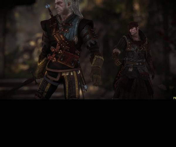 The Witcher 2: Assassins of King / Zaklínač 2: Vrahové králů
