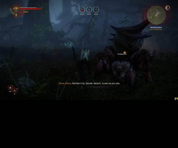 The Witcher 2: Assassins of King / Zaklínač 2: Vrahové králů