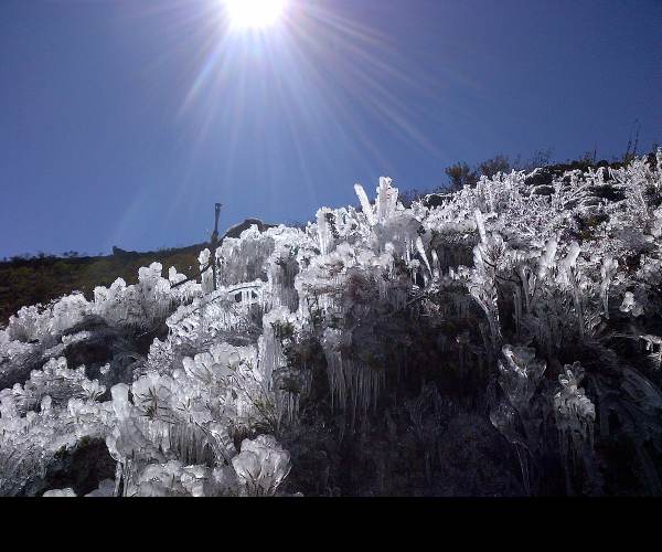 The Frost