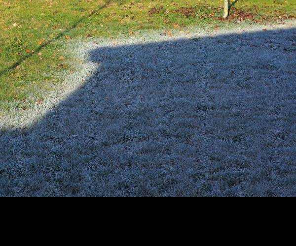 The Frost