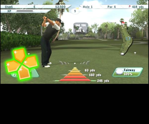 Tiger Woods PGA Tour 09 (PS3)