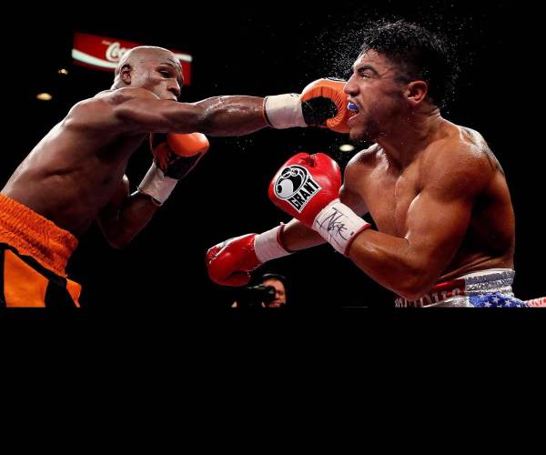 Knockout Boxing