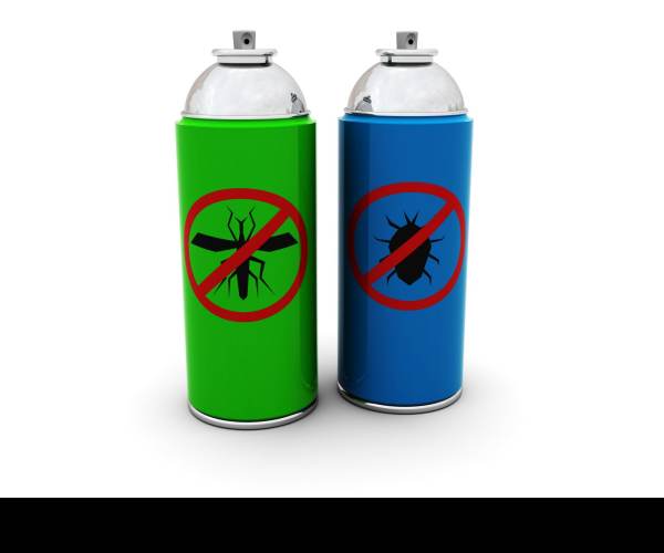 Insecticide