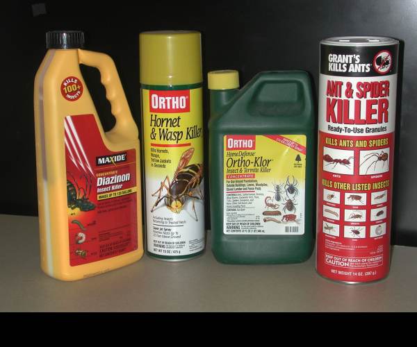 Insecticide