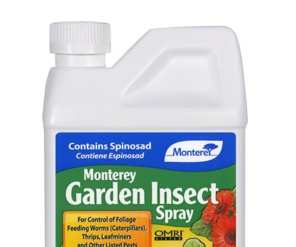 Insecticide