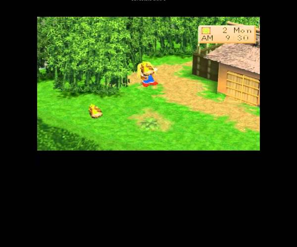 Harvest Moon: Boy and Girl