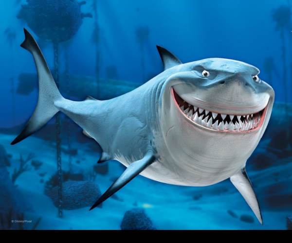 Shark Revolution: Finding Neo