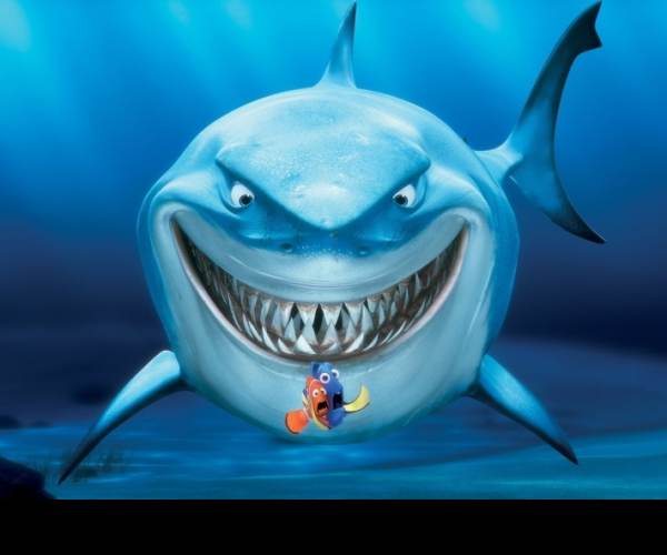 Shark Revolution: Finding Neo