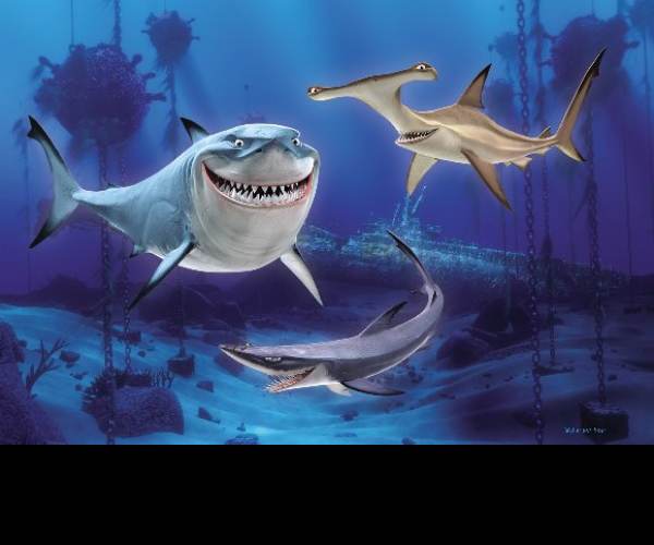 Shark Revolution: Finding Neo