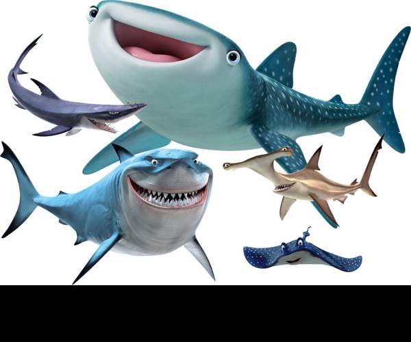 Shark Revolution: Finding Neo