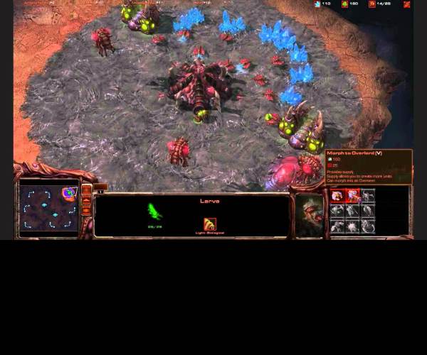 StarCraft II multiplayer