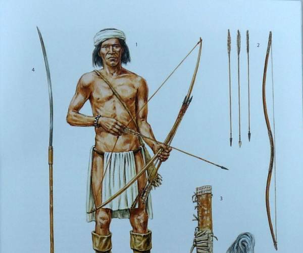 Apache Warrior