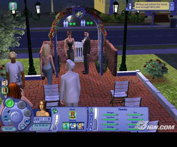 The Sims: Life Stories