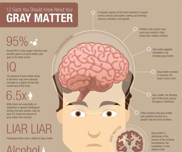 Gray Matter (X360)