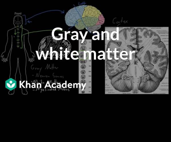 Gray Matter (X360)