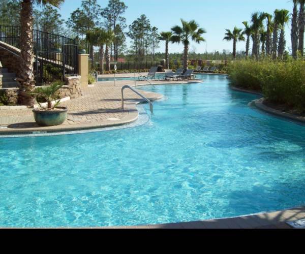 Pool Paradise