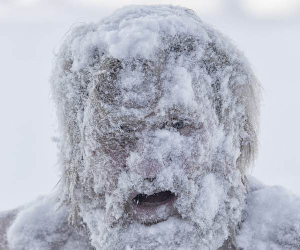 Cold Winter