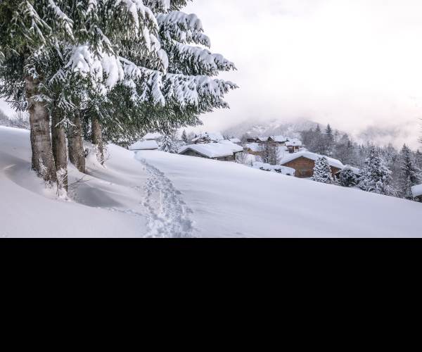 Cold Winter