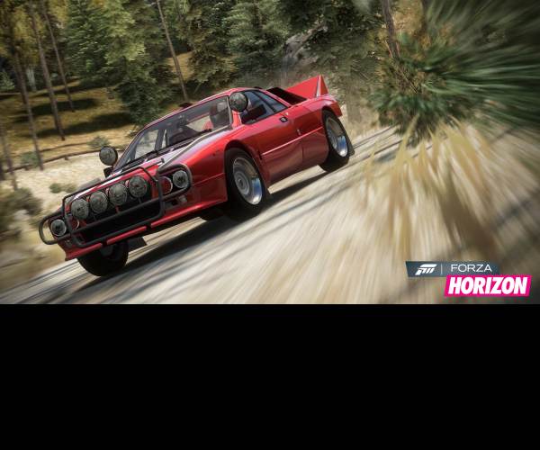Forza Horizon Rally
